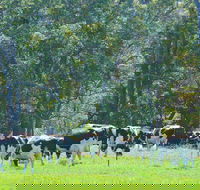 Boyanup - Tourism Search