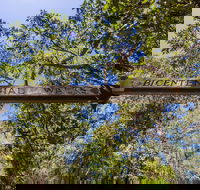 Bribie Island Bicentennial Trails - Tourism Search