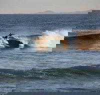 Coffs Coast State Park - Tourism Search