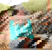 Creswick Woollen Mills - Tourism Search