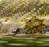 Creswick Regional Park - Tourism Search