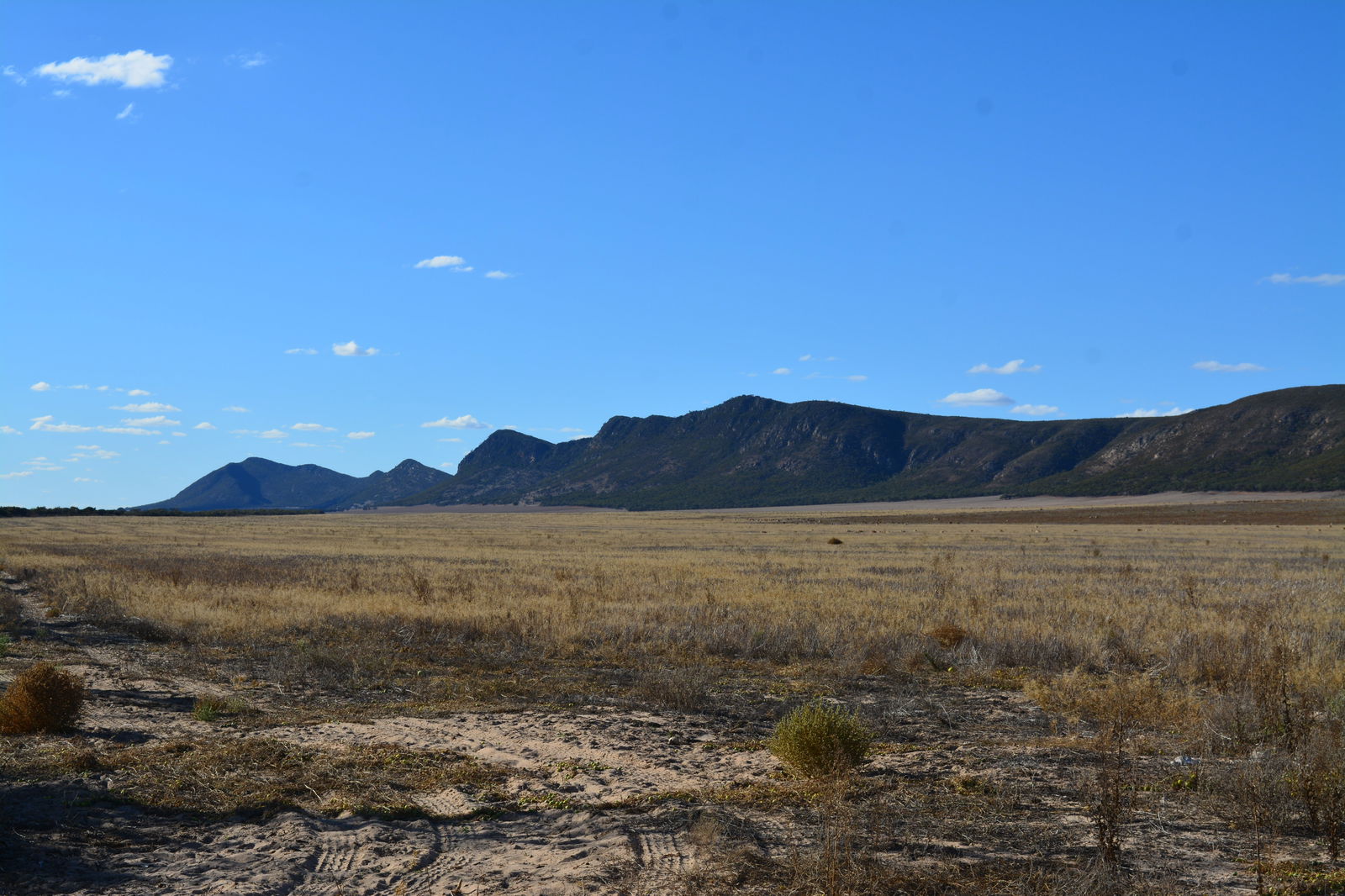 Darke Peak SA Tourism Search