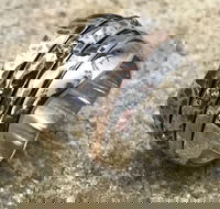 Eclectopia Gifts and Specialty Homewares - Tourism Search