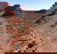 Finke Gorge National Park - Tourism Search