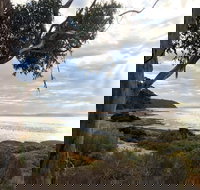 Fish Cannery Walking Trail - Tourism Search