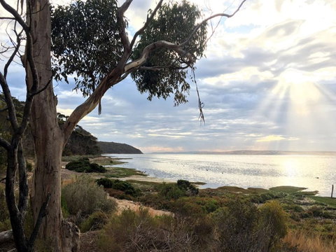 Fish Cannery Walking Trail - Tourism Search 0