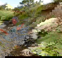Gold Panning Deep Creek - Tourism Search