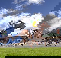 Goulburn and District Racing Club - Tourism Search