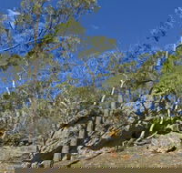 Green track - Tourism Search