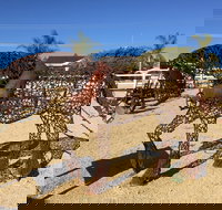 Gundersen Reserve - Tourism Search