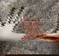 Hands of Fame Park - Tourism Search