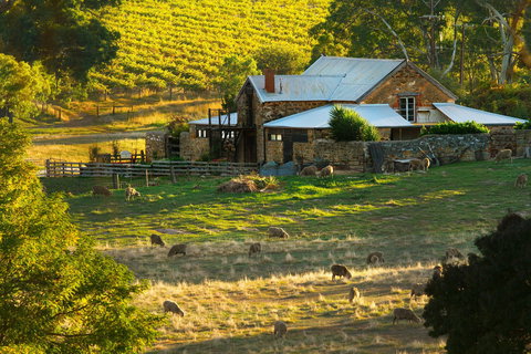 Hutton Vale Farm - Tourism Search 1