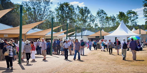 Ivory's Rock Conventions And Events - Tourism Search 2