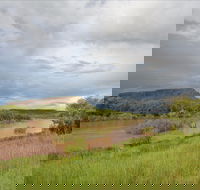 Judbarra / Gregory National Park - Tourism Search