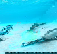 Jurien Bay - Tourism Search