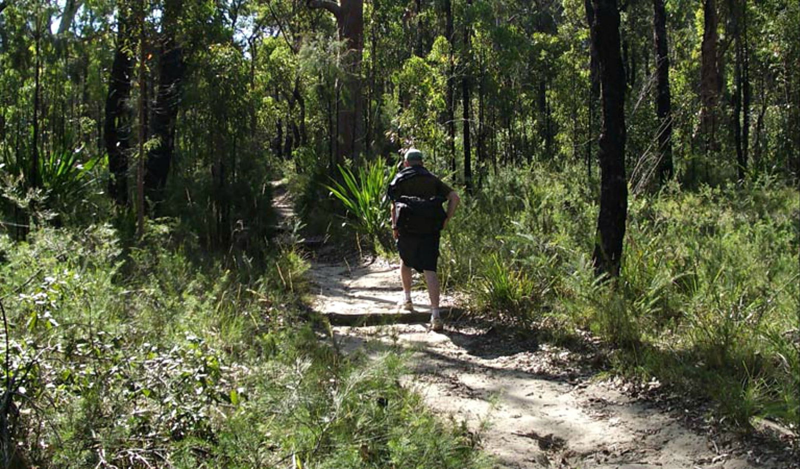 Heathcote NSW Tourism Search