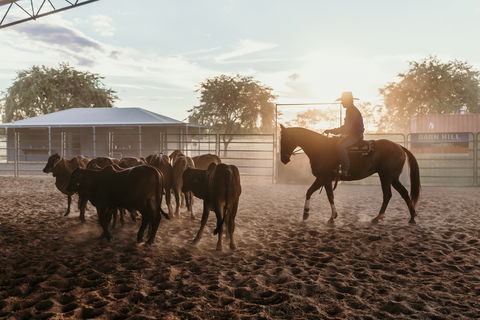 Katherine Outback Experience - Horse Riding Experience - Tourism Search 2