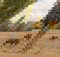 Lemington - Tourism Search