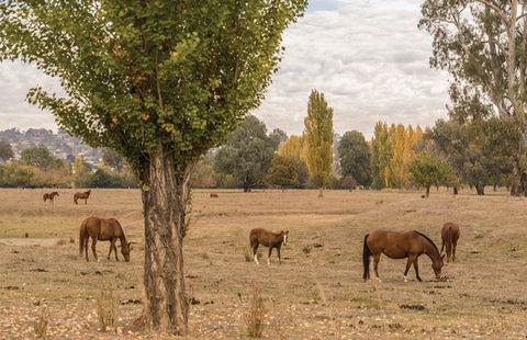 Lemington - Tourism Search 0