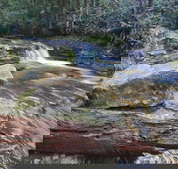 Liffey Falls Reserve - Tourism Search