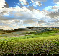 Lions Park Hodgson Vale - Tourism Search