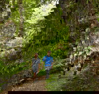 Melba Gully - Tourism Search