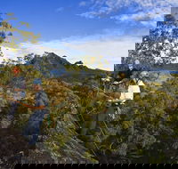 Mount Barney - Tourism Search