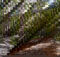 Myrtle Scrub Scenic Drive - Tourism Search