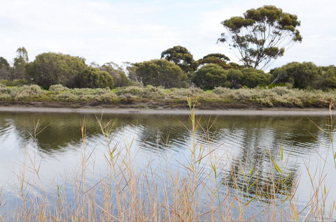 Onkaparinga River Recreation Park - Tourism Search 0