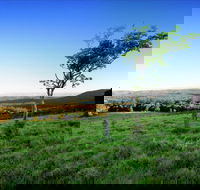 Ravensbourne - Tourism Search