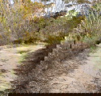 Red Rocks trig walking track - Tourism Search