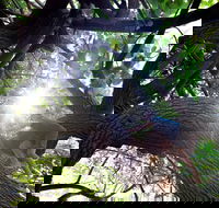 Scarborough Beach Park - Tourism Search