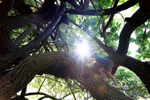 Scarborough Beach Park - Tourism Search 0