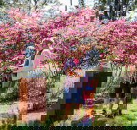 Sculpture at Petana - Tourism Search