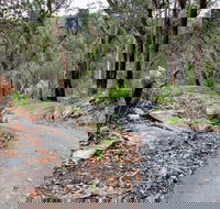 Stepping Stone Crossing to Cascades Trail - Tourism Search