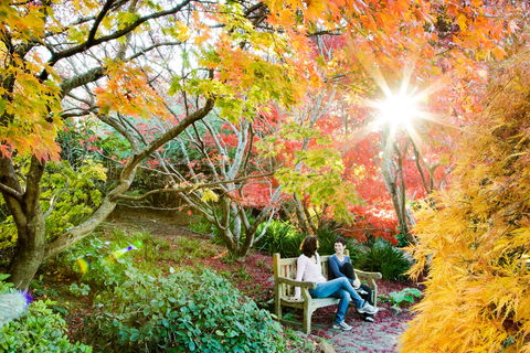 The Blue Mountains Botanic Garden, Mount Tomah - Tourism Search 0