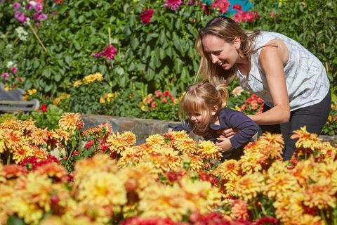 The Blue Mountains Botanic Garden, Mount Tomah - Tourism Search 1