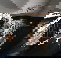 UNE Natural History Museum - Tourism Search