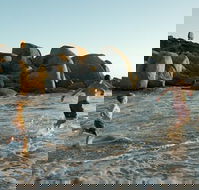 Venus Bay - Tourism Search