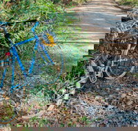 Walter Hood ride from Cudmirrah - Tourism Search