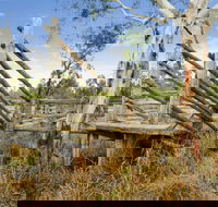 Wandoan - Tourism Search