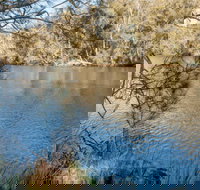 Wandandian Creek picnic area - Tourism Search