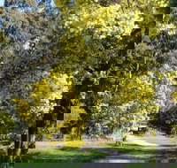 Wattle Park - Tourism Search