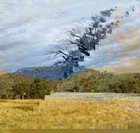 Weddin Mountains National Park - Tourism Search