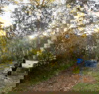 Yarrangobilly Caves  River walk - Tourism Search