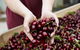 Yarra Valley Cherries - thumb 0