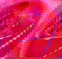 Abandon Stress Mobile Massage - Tourism Search