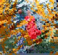 A Changing Australia The Time of Gough Whitlam - Tourism Search
