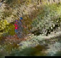 Australian Arid Lands Botanic Garden - Tourism Search