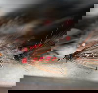 Australian Fly Fishing Museum - Tourism Search